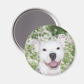 Aimant Joyeux pitbull blanc (Recto/Verso)