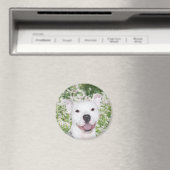 Aimant Joyeux pitbull blanc (In Situ (Lave-vaisselle))