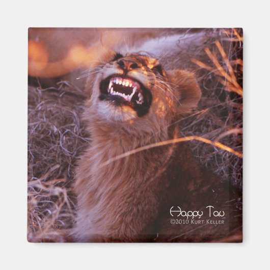 Aimant Joyeux Tau, Lion Cub souriant (Devant)