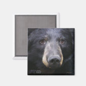 Aimant Juin par Nancy Liu aimnet (Recto/Verso)