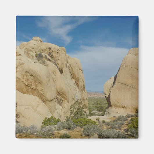 Aimant Jumbo Rocks à Joshua Tree National Park (Devant)