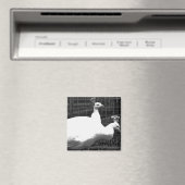 Aimant jumeaux 8x8 (In Situ (Lave-vaisselle))