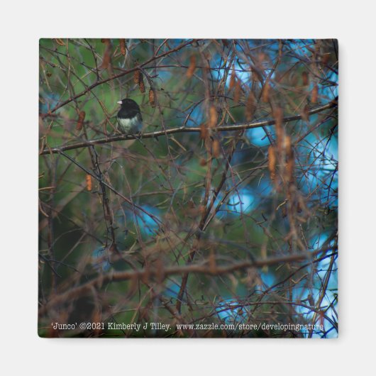 Aimant Junco (Devant)