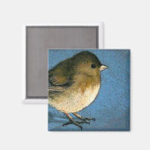 AIMANT JUNCO BIRD DRAWING (Recto/Verso)