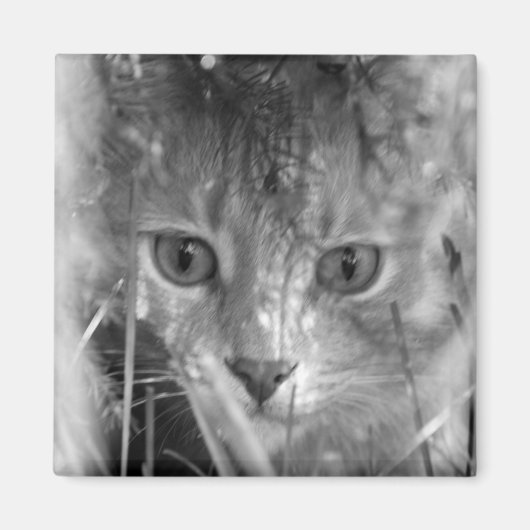 Aimant Jungle Legend B&W (Devant)