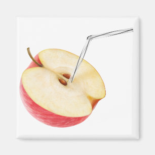 Aimant Jus de pomme