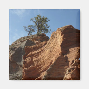 Aimant Jusqu'à Angels Landing dans le parc national de Zi