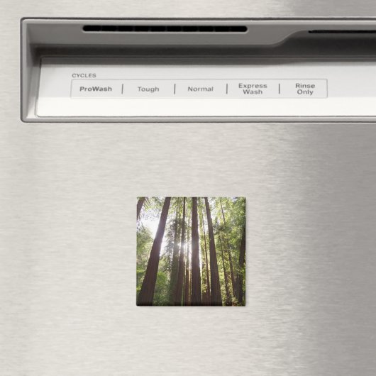 Aimant Jusqu'aux séquoias du matin (In Situ (Lave-vaisselle))