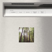 Aimant Jusqu'aux Séquoias le Matin (In Situ (Lave-vaisselle))