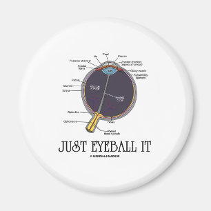 Aimant Just Eyeball It (Approximation De L'Anatomie Des O