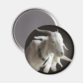 Aimant Juste Billy (Recto/Verso)