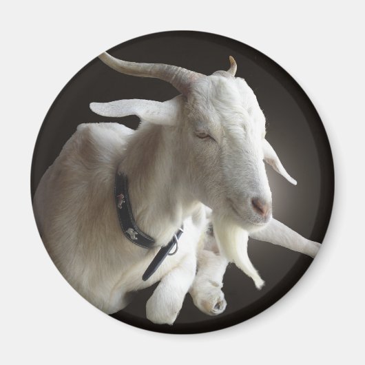 Aimant Juste Billy (Devant)