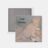 Aimant Juste Chillin' - Dragon barbu (Recto/Verso)