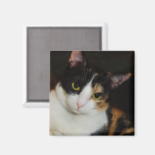 Aimant Juste en train de se pendre (Recto/Verso)