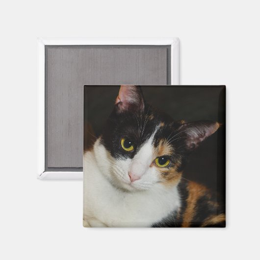 Aimant Juste en train de se pendre (Recto/Verso)