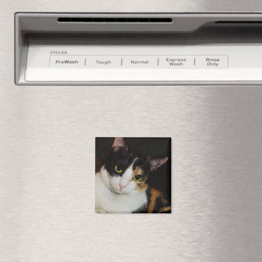 Aimant Juste en train de se pendre (In Situ (Lave-vaisselle))