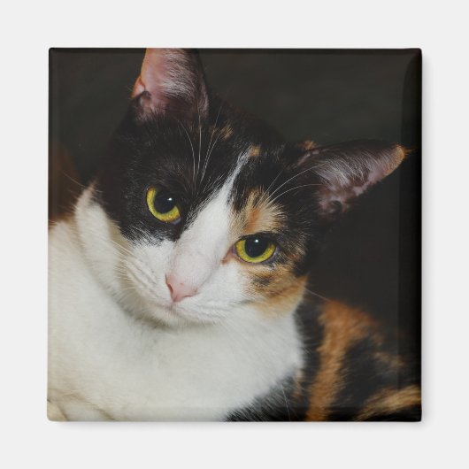 Aimant Juste en train de se pendre (Devant)