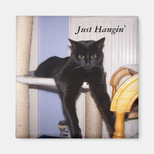 Aimant Juste Hangin