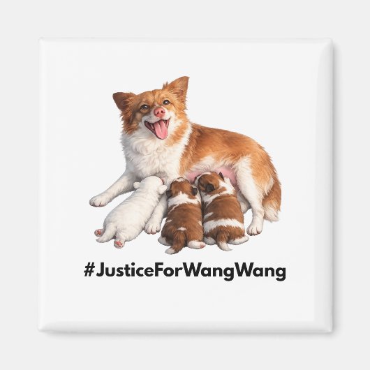 Aimant Justice for Wang Wang (Devant)