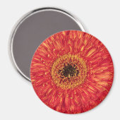 Aimant KA-Bloom ! (Recto/Verso)