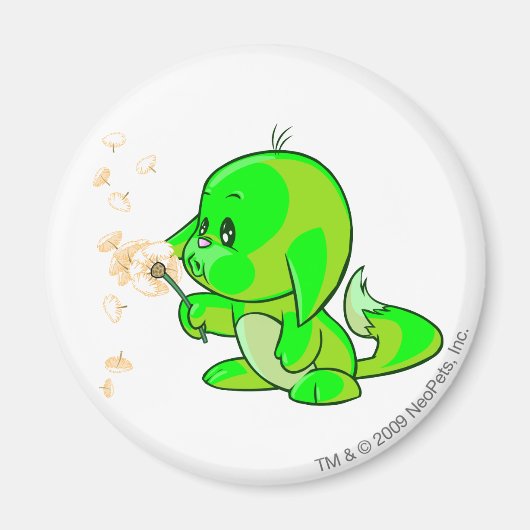 Aimant Kacheek Glissant (Devant)