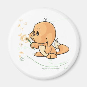 Aimant Kacheek orange souhaitant sur un pissenlit