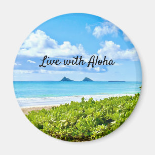 Aimant Kailua, Carré Oahu