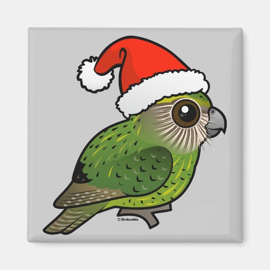 Aimant Kakapo Claus (Devant)