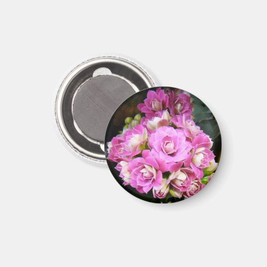 Aimant "Kalanchoé" (Recto/Verso)