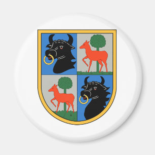 Aimant Kampfgeschwader 1 Hindenburg