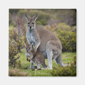 Aimant Kangaroo et Joey (Devant)