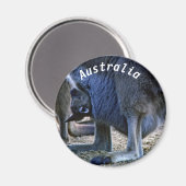 Aimant Kangourou bébé dans la poche de la mère - Australi (Recto/Verso)
