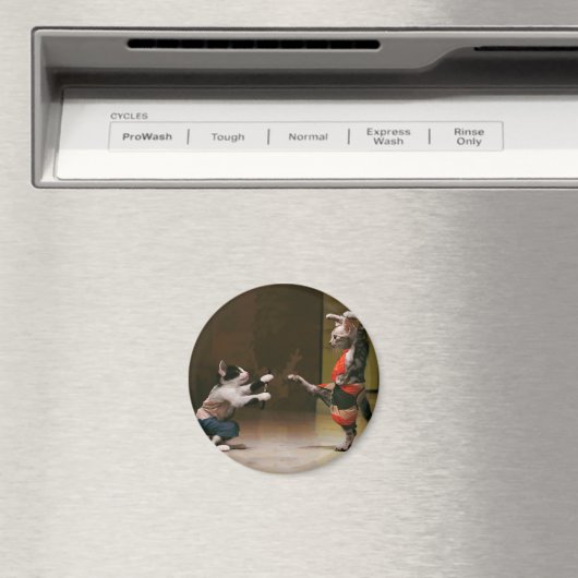 Aimant Karaté (In Situ (Lave-vaisselle))