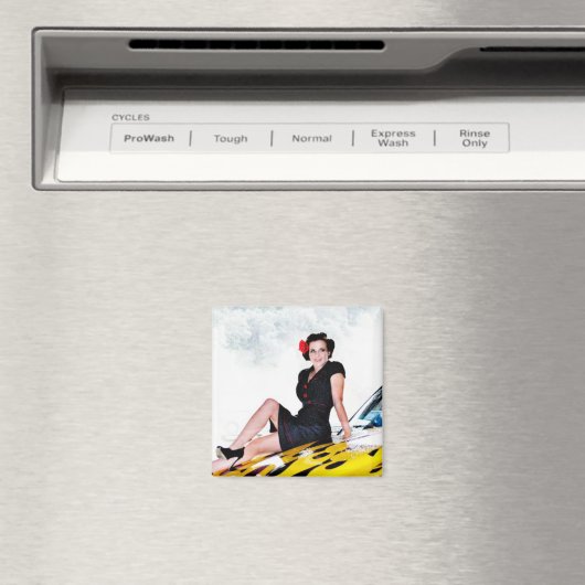 Aimant Kat (In Situ (Lave-vaisselle))