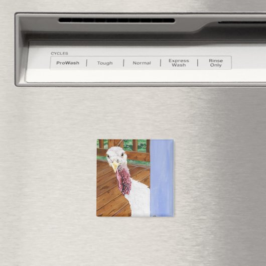 Aimant Katie (In Situ (Lave-vaisselle))