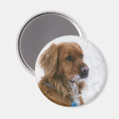 Aimant Katie Snowy (Recto/Verso)