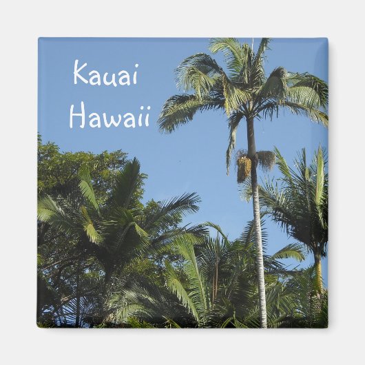 Aimant Kauai Hawaï (Devant)