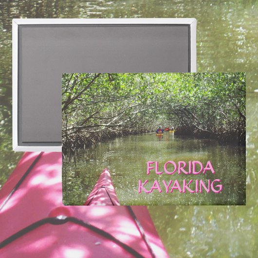 Aimant Kayaking Through the Mangroves Florida Adventure