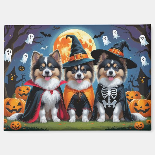 Aimant Keeshond Chiens Citrouille Halloween Funny (Recto)