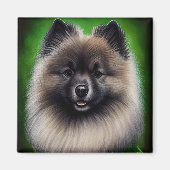 Aimant Keeshond Dog en tenue de jour St. Patrick (Devant)