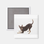 Aimant Kelpie australienne (Recto/Verso)