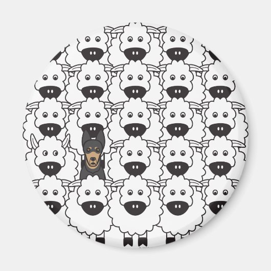 Aimant Kelpie australienne dans le mouton (Devant)