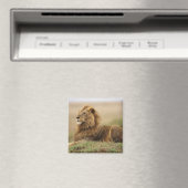 Aimant Kenya, Masai Mara | Lion mâle (In Situ (Lave-vaisselle))