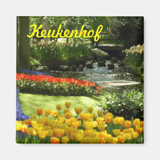 Aimant Keukenhof