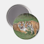 Aimant khan-n-chine009 (Recto/Verso)