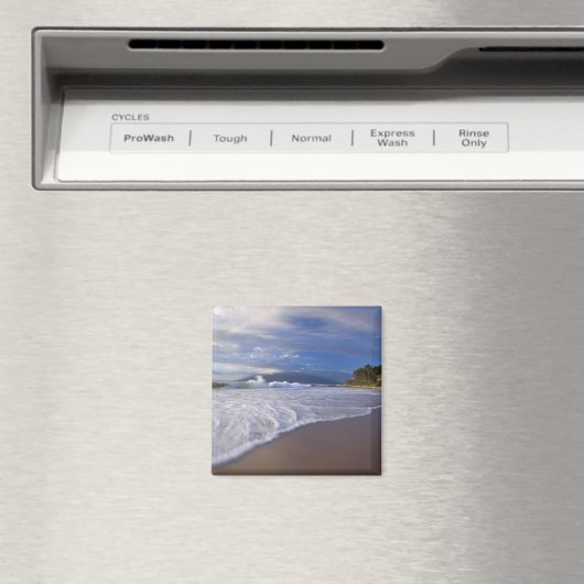 Aimant Kihei Beach, Maui, Hawaii, États-Unis (In Situ (Lave-vaisselle))