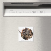 Aimant Kili, THORIN OAKENSHIELD™ et Fili (In Situ (Lave-vaisselle))