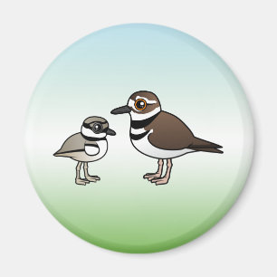 Aimant Killdeer et poussin