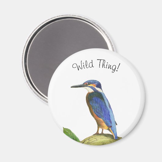 Aimant Kingfisher (Recto/Verso)