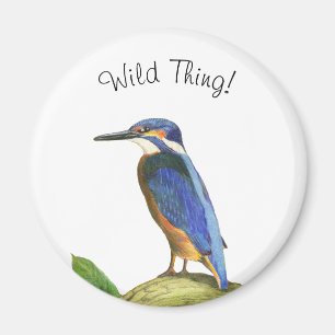 Aimant Kingfisher
